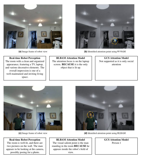 Training dynamics showing habituation-guided learning progression